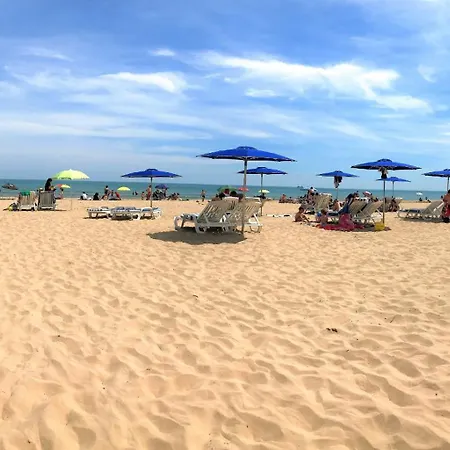 Ag Sunny Eden * Playa de Gandia